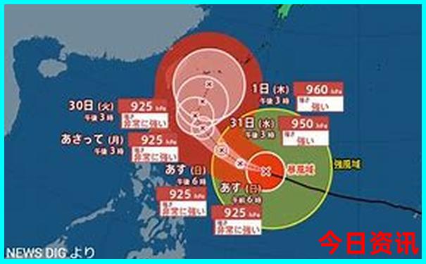 上海适合老年人游玩的地方